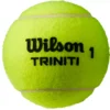 Wilson Triniti Tennis Balls – 3 Pack -DICKS SPORTING GOODS Sales 19WILUTRNTTNNSBLLTNN Yellow