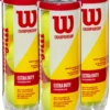 Wilson Championship Extra Duty Tennis Balls - 4 Pack -DICKS SPORTING GOODS Sales 22WILUCHMPXD4PKWVTNN