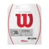 Wilson NXT POWER Tennis Strings -DICKS SPORTING GOODS Sales 22WILUWLSNNXTTRXXTNN Natural