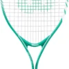 Wilson Serena 25" Junior Tennis Racquet -DICKS SPORTING GOODS Sales 22WILYSRN25JRXXXXTNN Teal