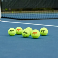 Penn Champion Extra Duty 6-Pack Tennis Balls -DICKS SPORTING GOODS Sales 521019 NOCOLOR TEC