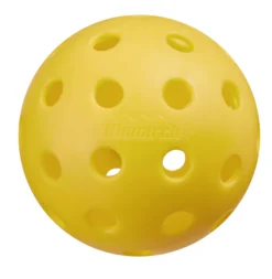 Monarch Dragon Slayer Pickleball Set -DICKS SPORTING GOODS Sales MN22DRAGONSET BlackWhite DET alt3