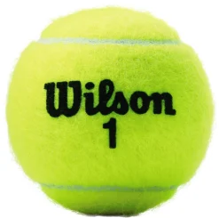 Wilson Championship Extra Duty Tennis Balls - 4 Pack -DICKS SPORTING GOODS Sales T1096V NOCOLOR OPKG